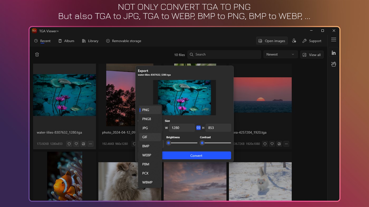 #2. TGA Viewer+ (Windows) โดย: IO Vision