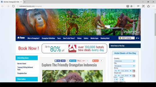 Orangutan - Indonesia screenshot 4