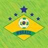 Brazil Fan Tag