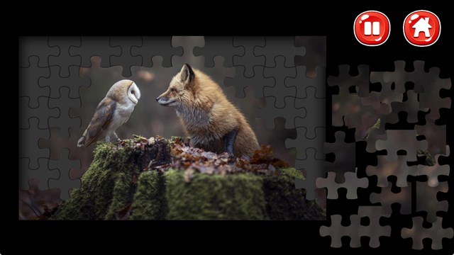 Owl Jigsaw Puzzles screenshot 2