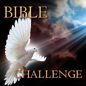 Bible Challenge