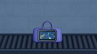Xray Customs