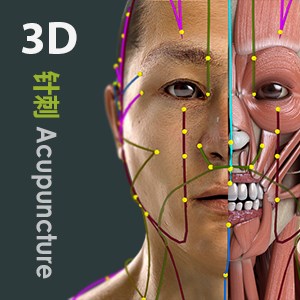 Visual Acupuncture 3D | Human