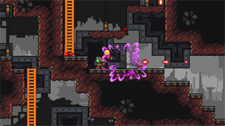 D.U.M.B. Ducks screenshot 5