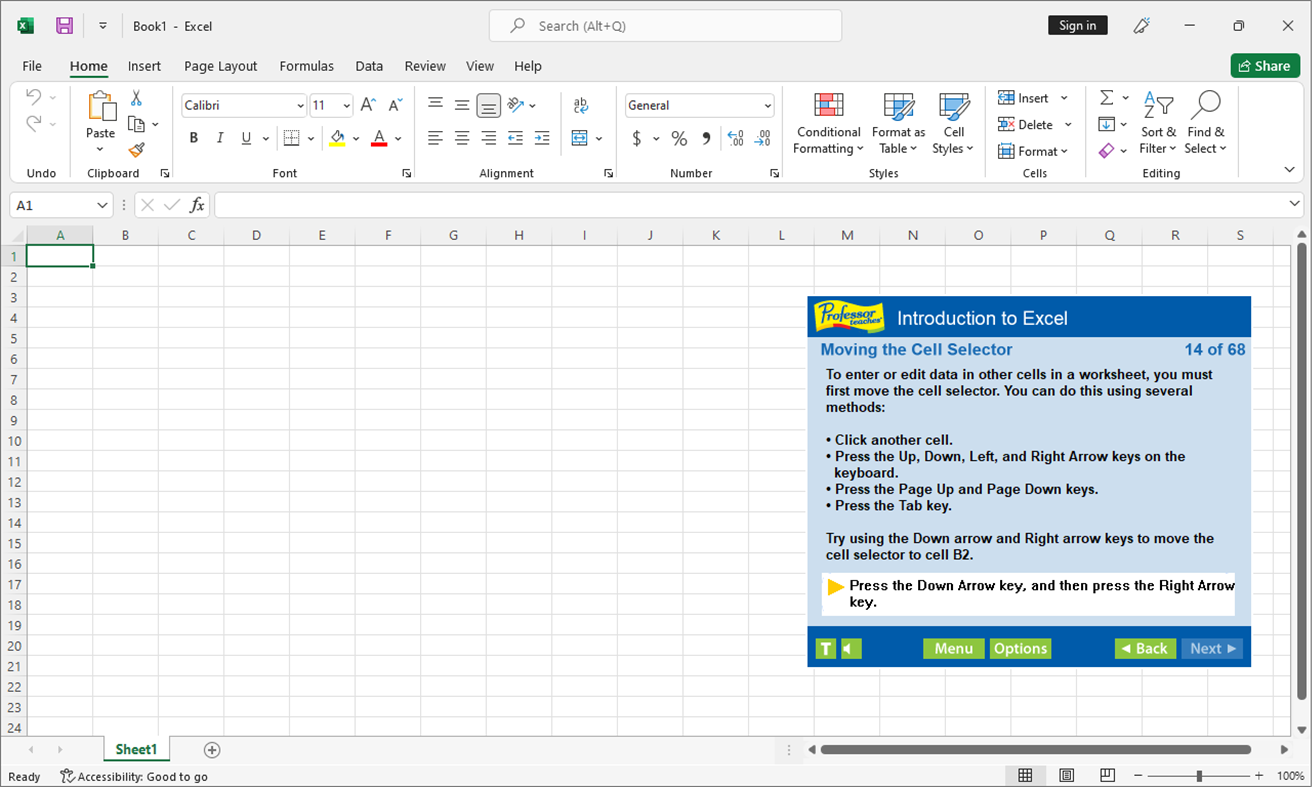 #1. Professor Teaches Excel 2021 (Windows) De: Individual Software Inc.