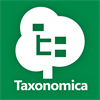 Taxonomica