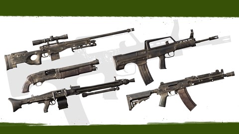 Insurgency: Sandstorm - Dusty Weapon Skin Set