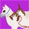 Cat Pregnancy Surgery