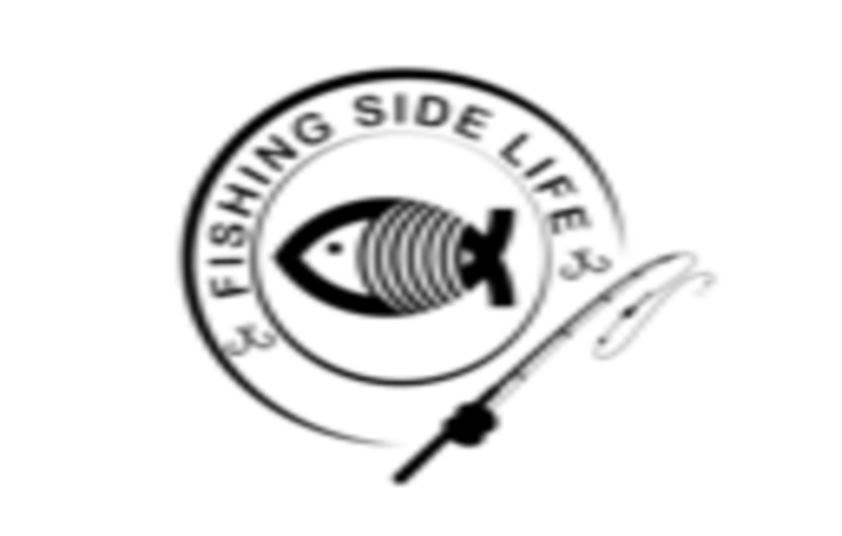 Fishing Gears Sale Notification Demo