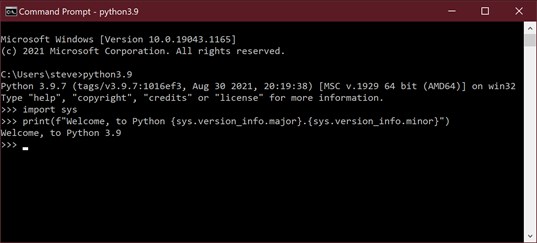 Python 3.9 screenshot 1