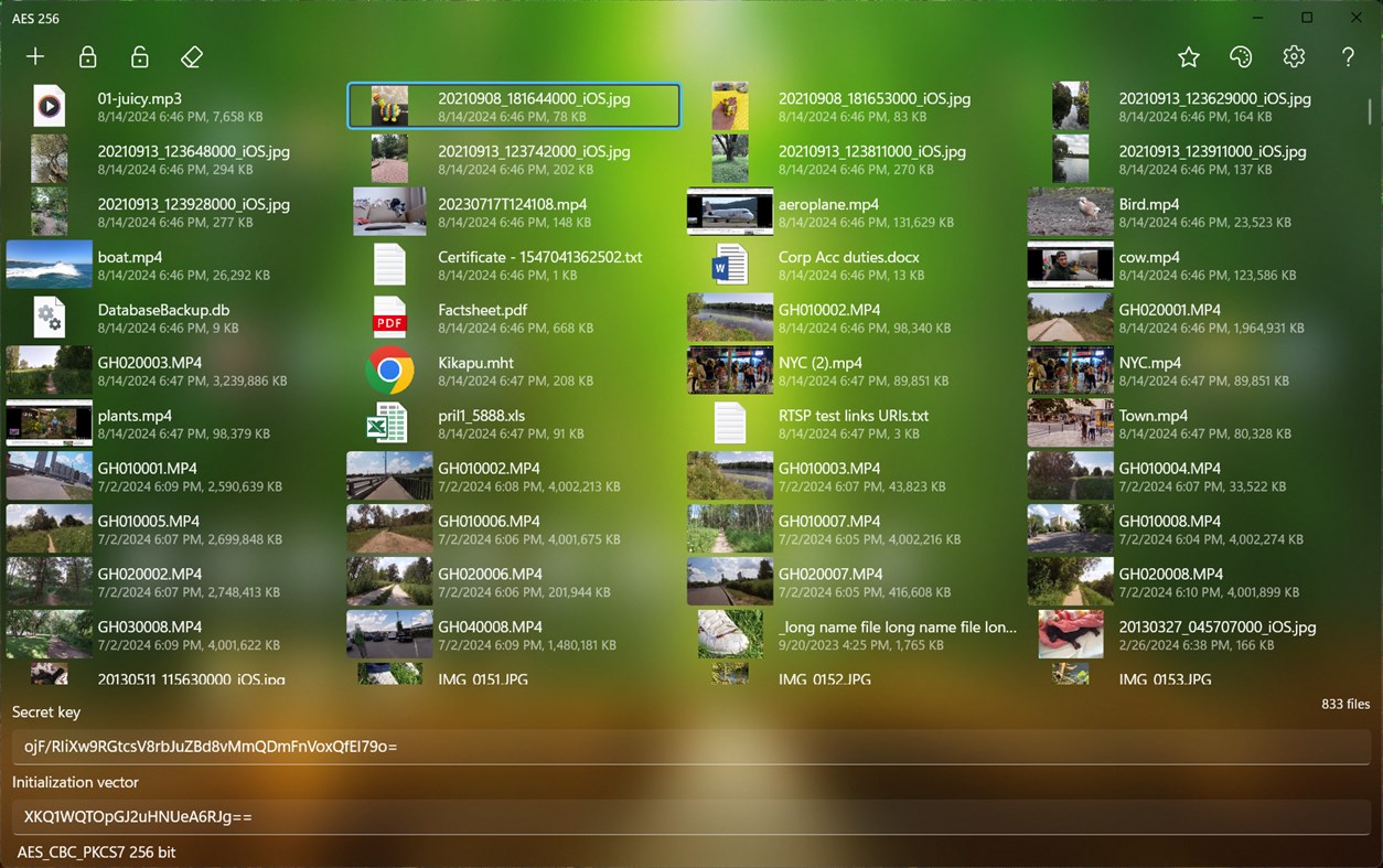 #6. AES 256 (Windows) Podle: Alexander Komarov