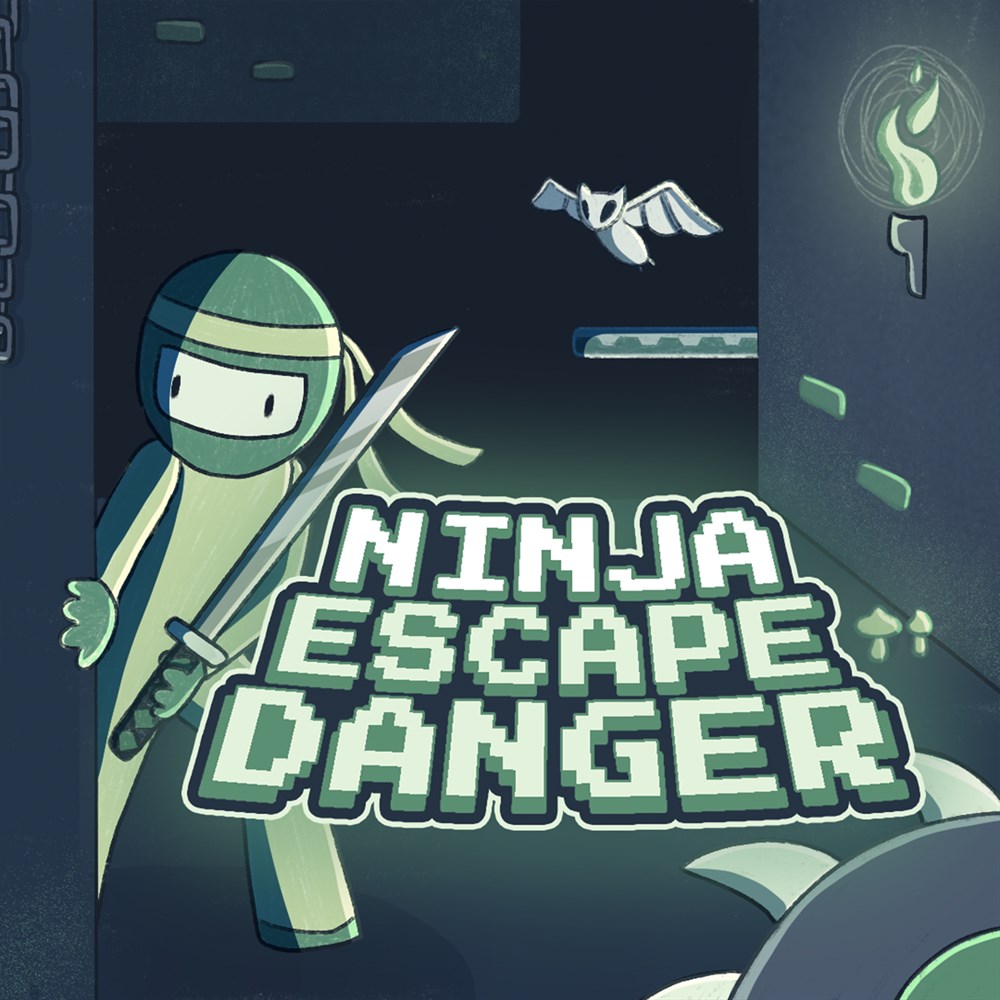 Ninja Escape Danger (Windows) cover art (full size)