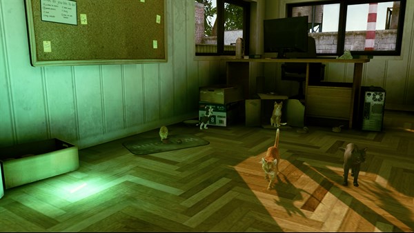 Little Strays — 11