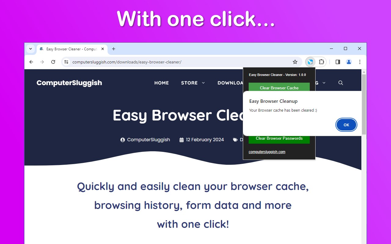 Easy Browser Cleaner