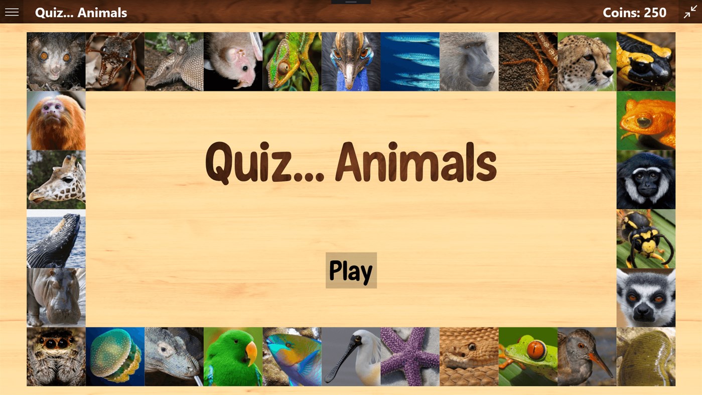 Квиз животные. Animal Quiz. Как пройти капчу Майкрософт с животными.