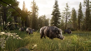 Way of the Hunter 2 - Deluxe Edition screenshot 2