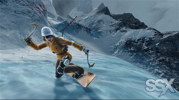 SSX — 9