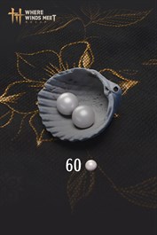 Where Winds Meet-60 Echo Beads