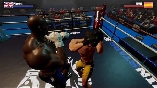 Rookie Boxing — 5
