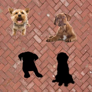 Puppies Toddlers Puzzle