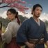 Sengoku Dynasty
