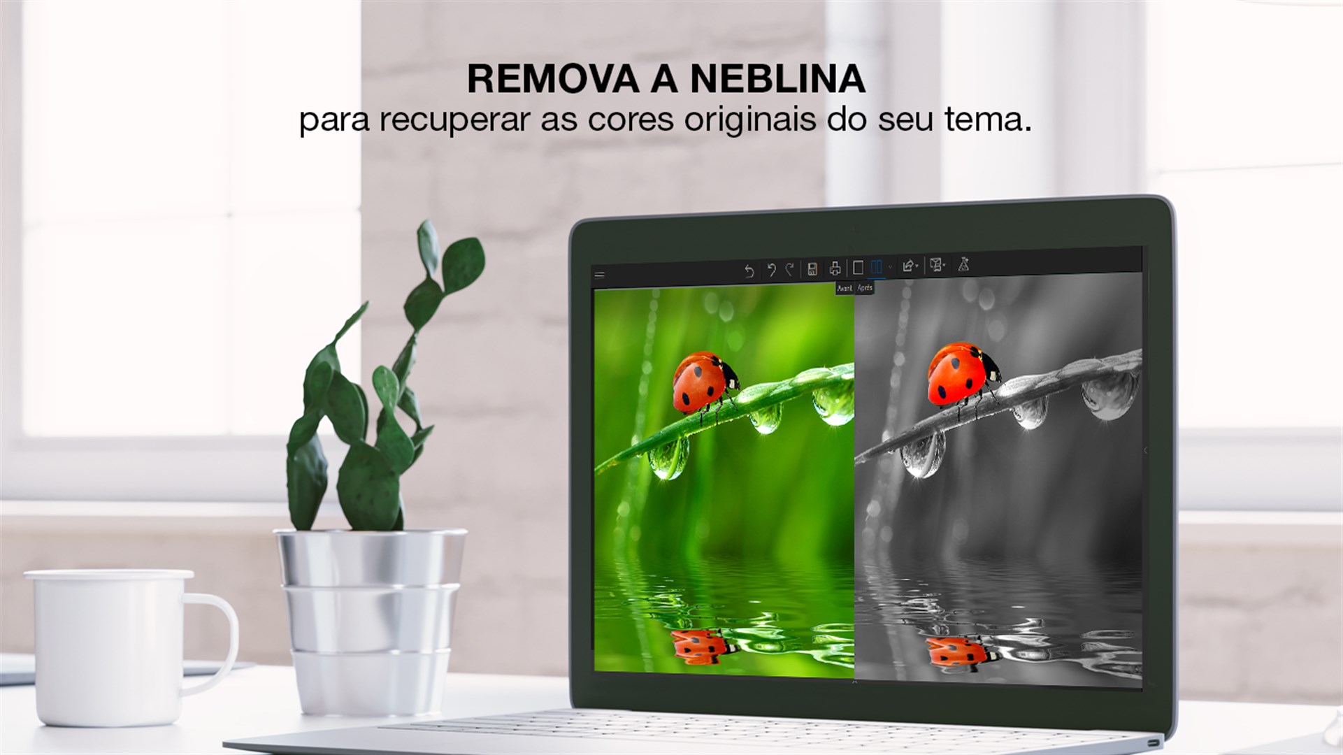 curso grátis de sublimação e filmes de recorte: Pixrl: Um Editor de Imagens Online  Gratuito!!