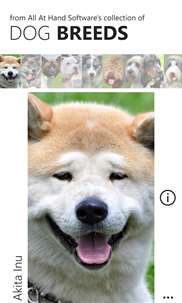 Dog Breed Wallpapers screenshot 3