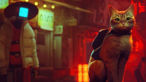 Stray Xbox One / Series XS Mídia Digital - ALNGAMES - JOGOS EM MÍDIA  DIGITAL