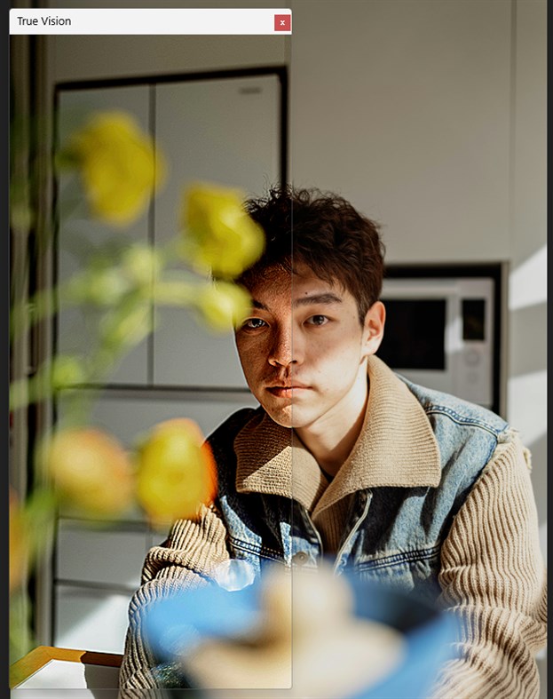 #1. True Vision (Windows) By: Zunna Berry