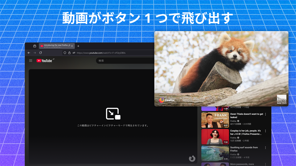 Mozilla Firefox_4