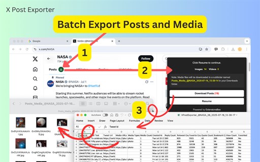 X Post Exporter - Bulk Twitter Data Export