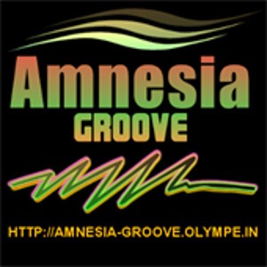 Download Amnesia Groove