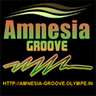 Amnesia Groove