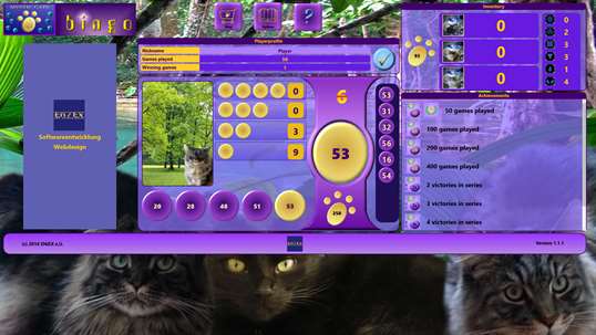 Mystic Cats Bingo screenshot 2