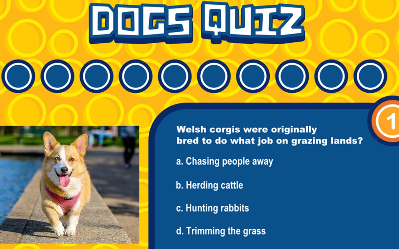 Dogs Quiz Game