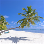 Tropical Beach 4k Live Wallpaper