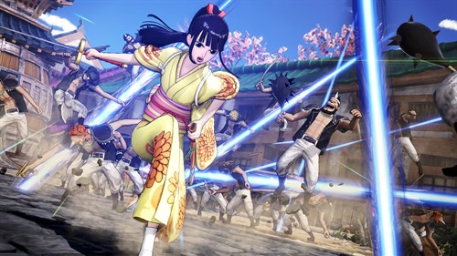 ONE PIECE: PIRATE WARRIORS 4 Character Pass