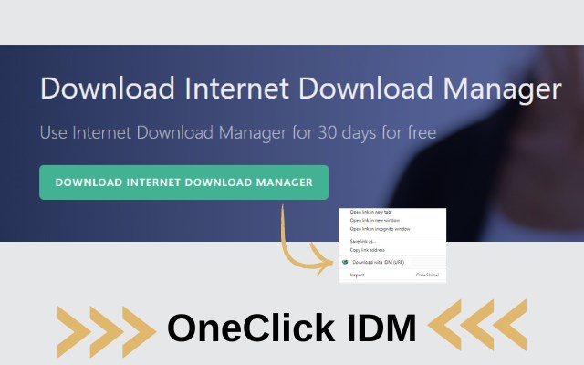 Internet Download Manager IDM™