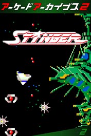 アーケードアーカイブス2 スティンガー