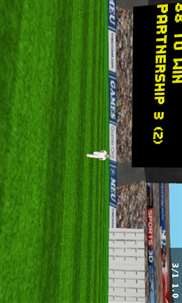 T-10 Cricket Game screenshot 2