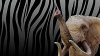 Zoo Simulator