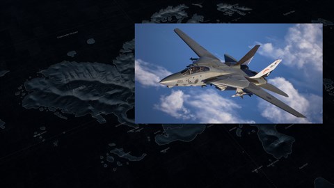 ACE COMBAT 8: WINGS OF THEVE - Playable Aircraft: F-14A