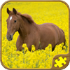 Horse Puzzles Free