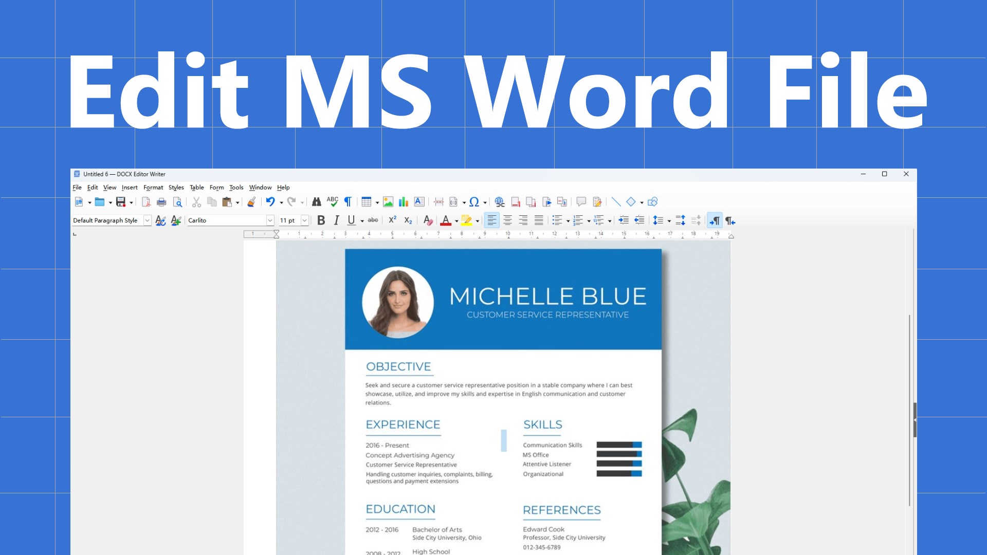 DOCX+ Editor screenshot