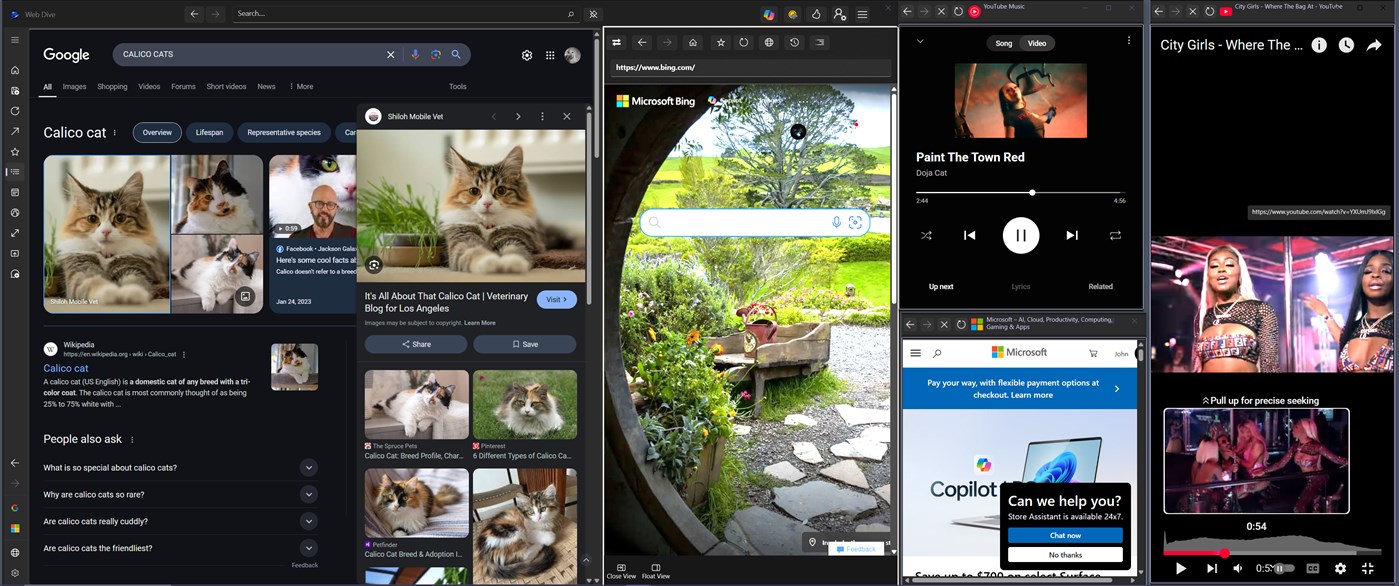 #6. Web Dive (Windows) 由: Intrafiz Soultions LLC