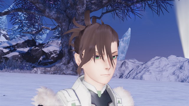 PSO2:NGS - Silver Peaks Kvaris Pack/Type 1 Edition screenshot 2