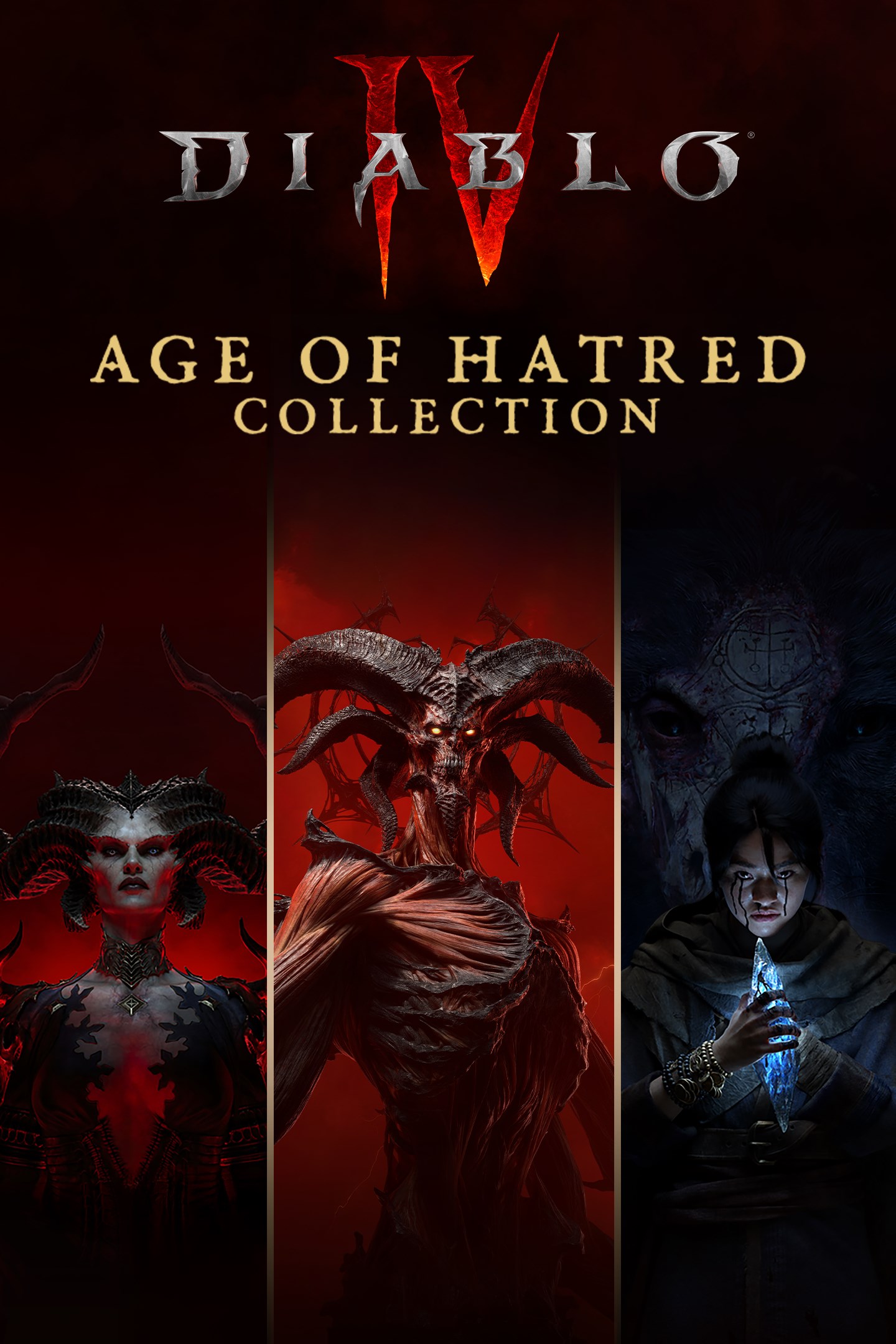 Diablo® IV: Age of Hatred Collection