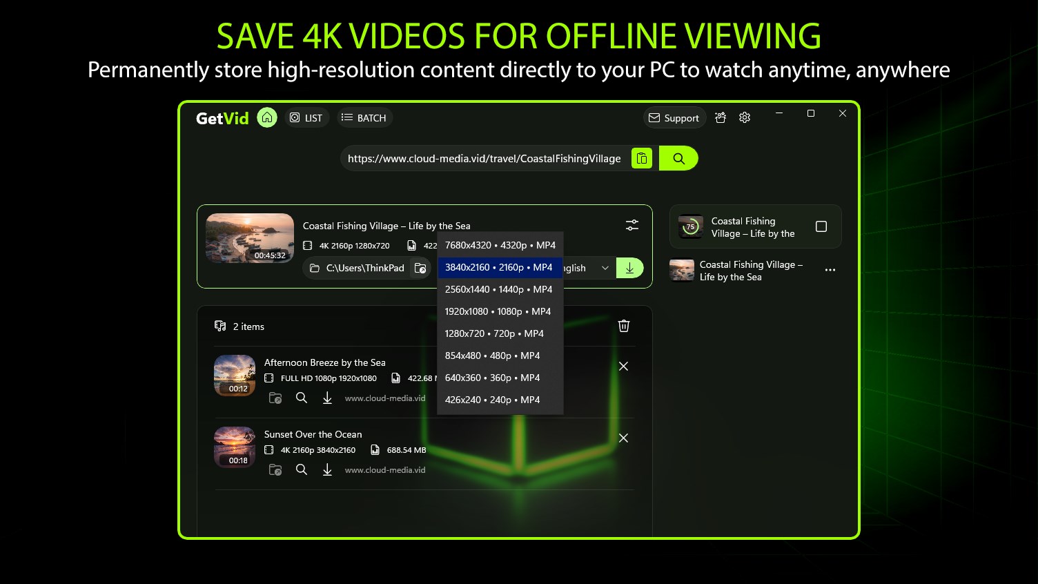 Video Downloader 4K - Bulk GetVid screenshot