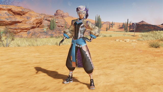 PSO2:NGS - Fiery Dunes Retem/Type 1 Edition screenshot 1