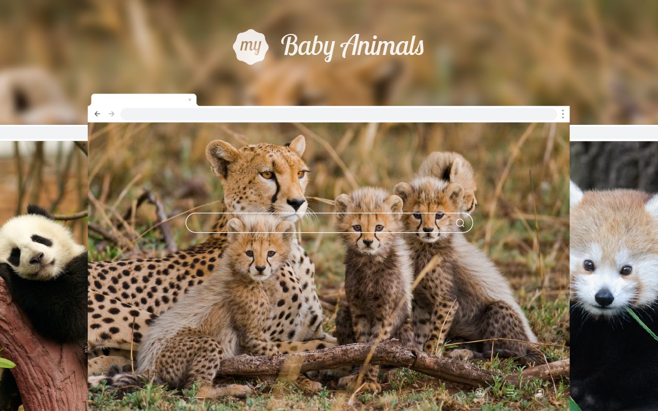 My Baby Animals HD Wallpapers New Tab Theme